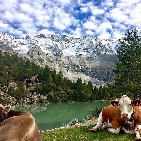 Chalet Ale